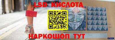 крисы Аргун