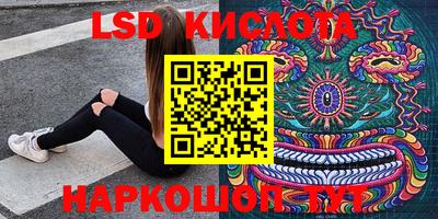 крисы Аргун