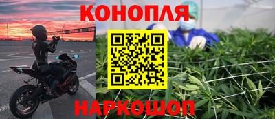 крисы Аргун