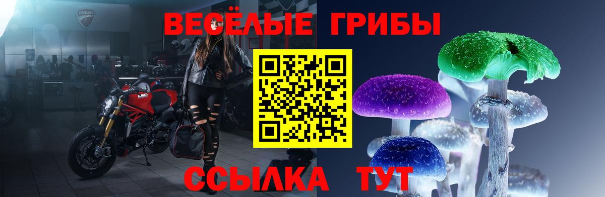 Артём  Псилоцибиновые грибы Psilocybine cubensis  где купить наркоту  Вход с VPN 